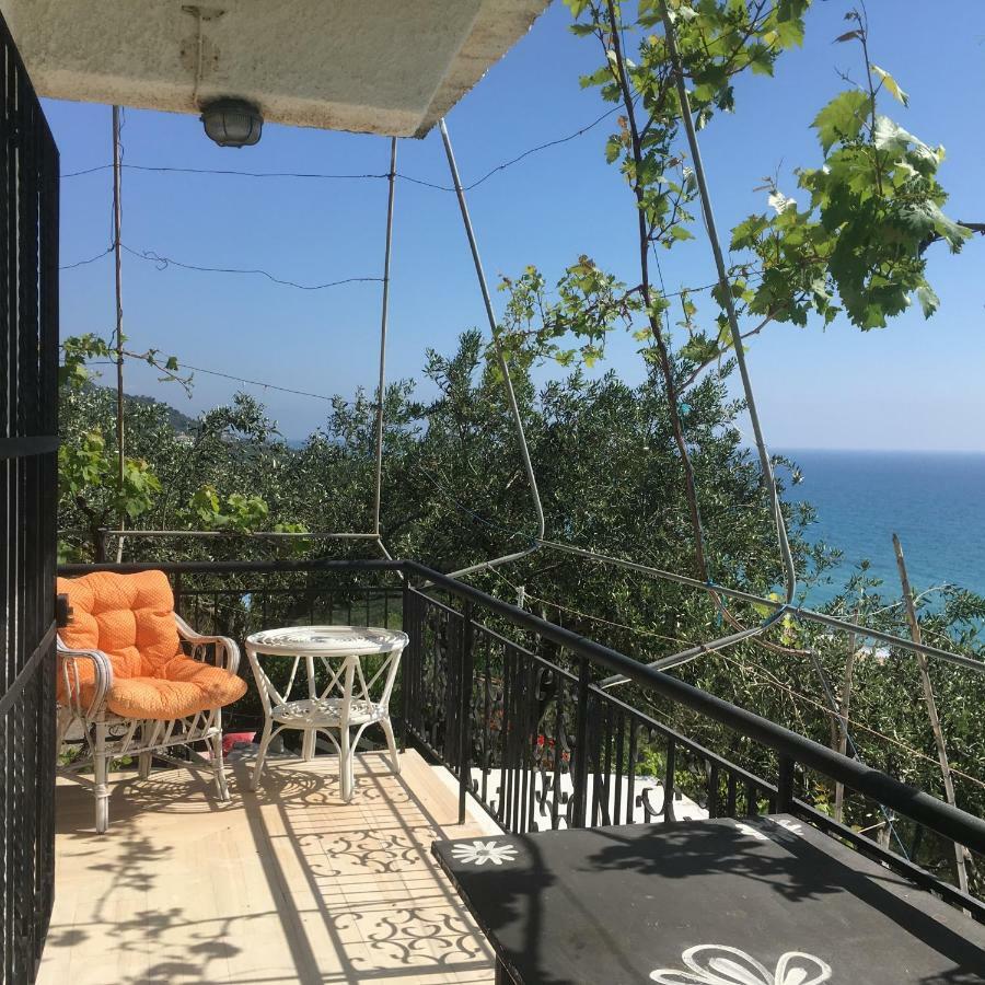 Nakou House Villa Vráchos Eksteriør billede